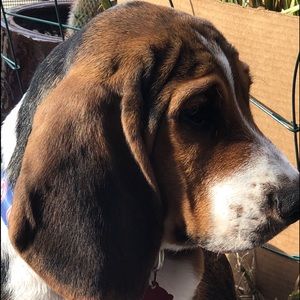 Meet your Posher, Teri